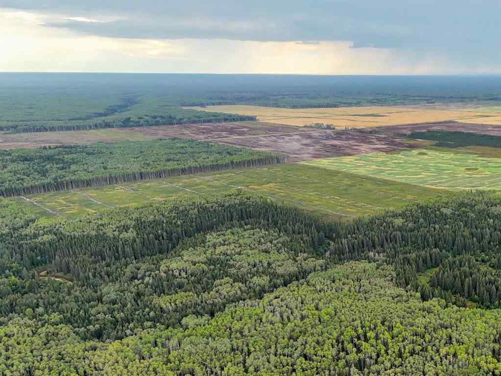 MLS® A2252347 -  NE-21-101-17-W5   in NONE Rural Mackenzie County, Agri-Business