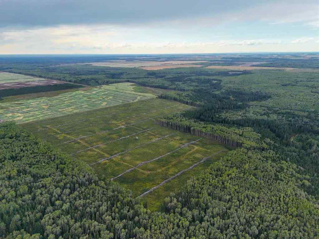 MLS® A2252347 -  NE-21-101-17-W5   in NONE Rural Mackenzie County, Agri-Business
