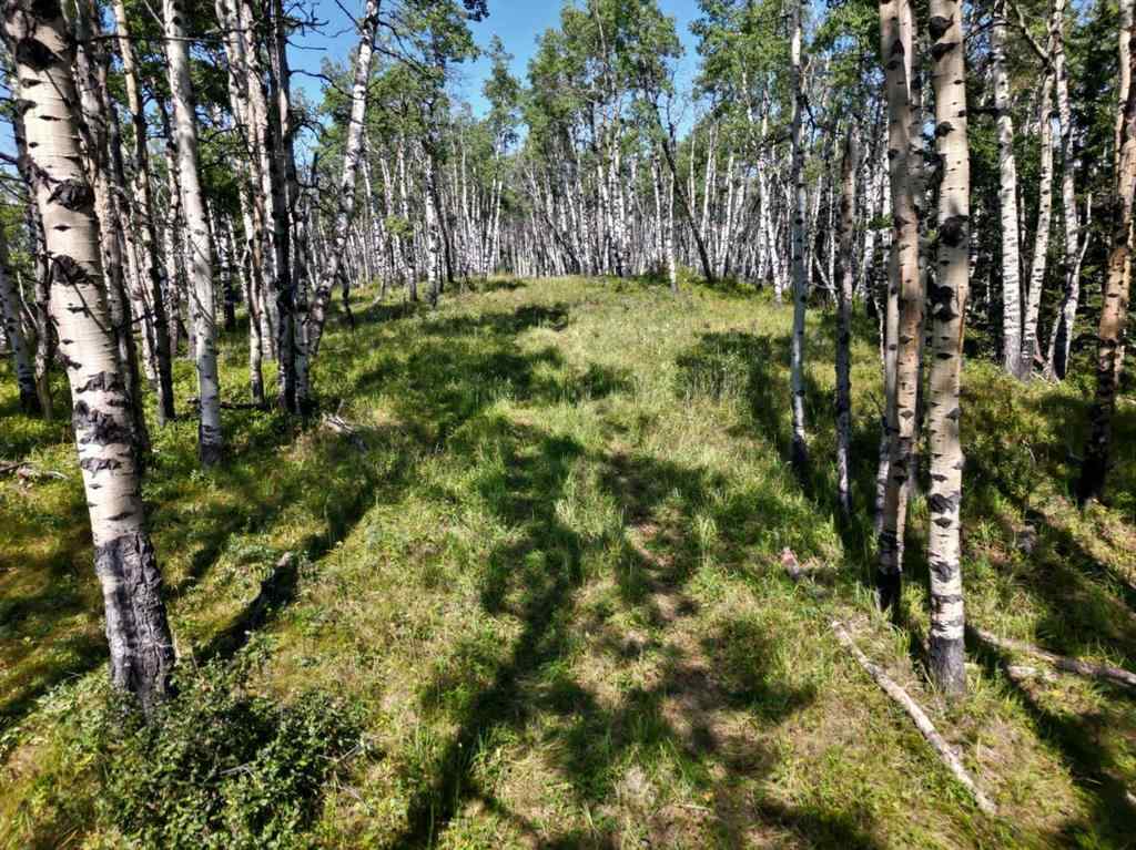 MLS® A2252381 - Unit #200 229306 Highway 762   in NONE Rural Foothills County, Residential