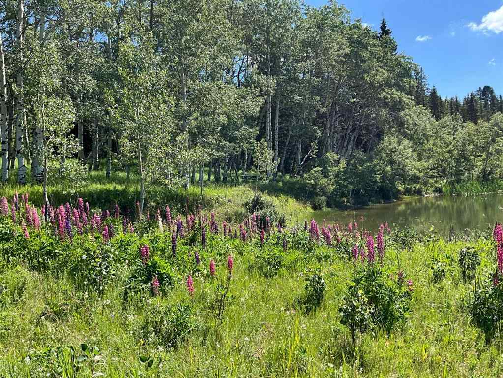 MLS® A2252381 - Unit #200 229306 Highway 762   in NONE Rural Foothills County, Residential