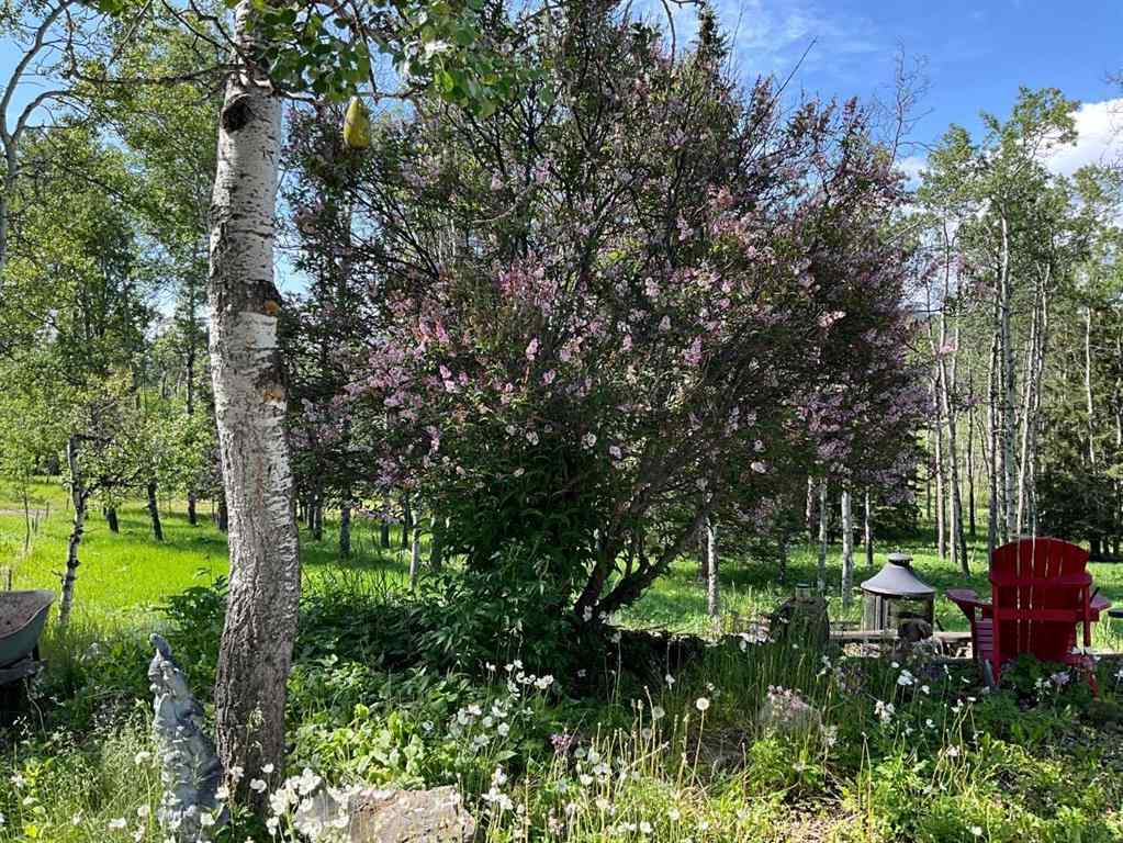 MLS® A2252381 - Unit #200 229306 Highway 762   in NONE Rural Foothills County, Residential