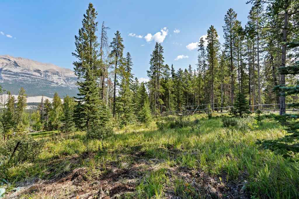 MLS® A2252436 - 232 Stewart Creek Rise  in Three Sisters Canmore, Residential