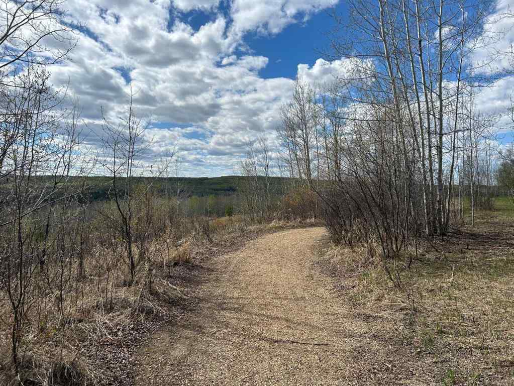 MLS® A2252455 - Unit #7 654036 RGE RD 222   in NONE Athabasca, Land