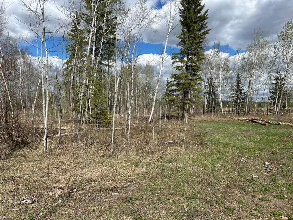 MLS® A2252455 - Unit #7 654036 RGE RD 222   in NONE Athabasca, Land
