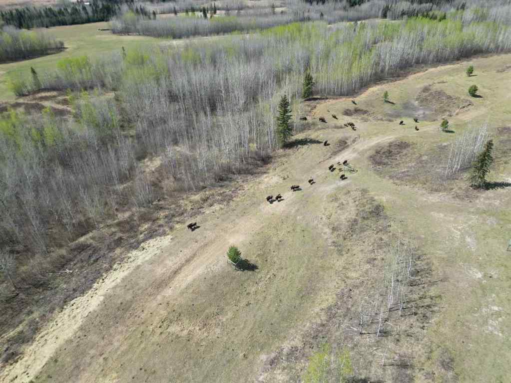 MLS® A2252455 - Unit #7 654036 RGE RD 222   in NONE Athabasca, Land