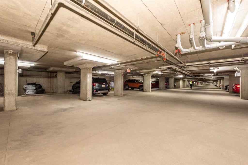 MLS® A2252497 - Unit #215 7210 80 Avenue NE in Saddle Ridge Calgary, Residential