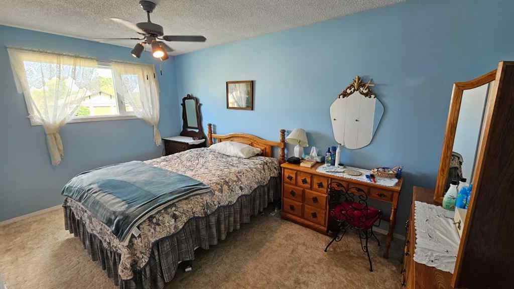 MLS® A2252557 - 5006 55 Avenue  in NONE Castor, Residential