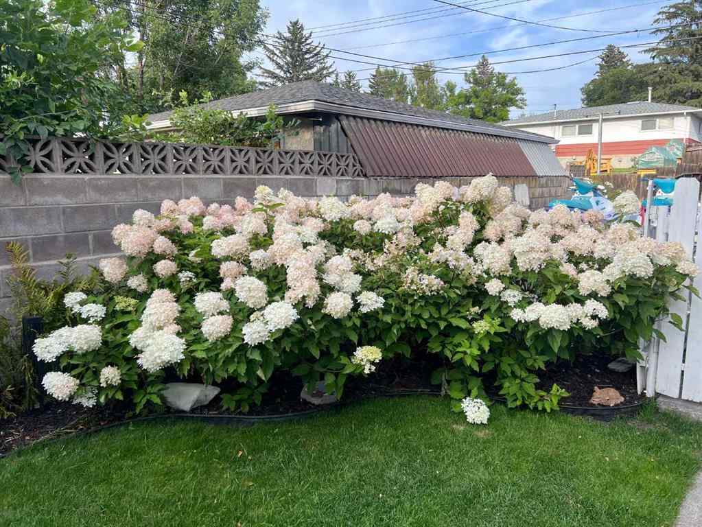 MLS® A2252563 - 1040 16 Street NE in Mayland Heights Calgary, Residential