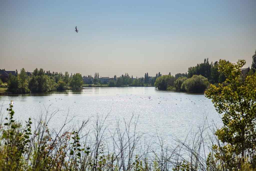 MLS® A2252707 - 232 Mckenzie Towne Link SE in McKenzie Towne Calgary, Residential