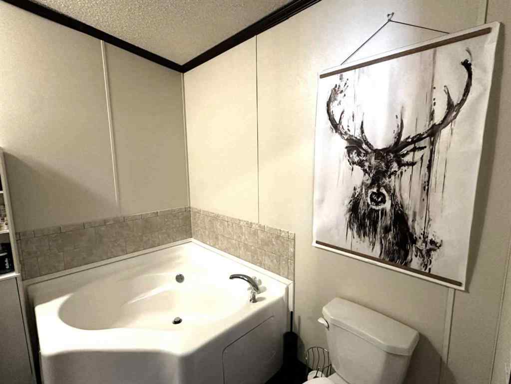 MLS® A2252747 - 46 McKay Place  in Mckay Ranch Blackfalds, Mobile