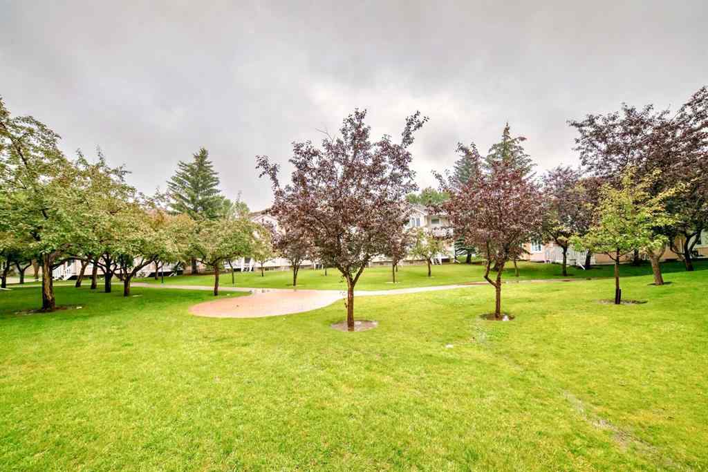 MLS® A2252832 - Unit #111 388 Sandarac Drive NW in Sandstone Valley Calgary, Residential