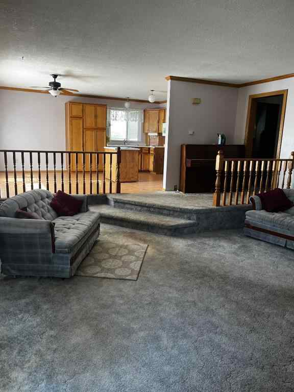 MLS® A2252847 - 210 5th Street  in NONE Warner, Residential