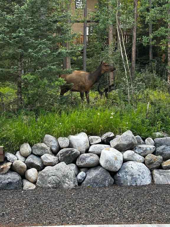MLS® A2252887 - 283C Three Sisters Drive  in Hospital Hill Canmore, Residential