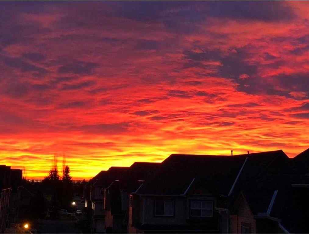 MLS® A2252920 - Unit #308 11170 30 Street SW in Cedarbrae Calgary, Residential