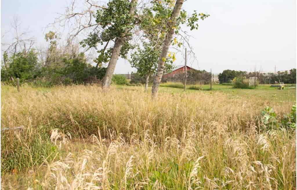 MLS® A2252965 - 160078 Township Road 304   in NONE Craigmyle, Residential