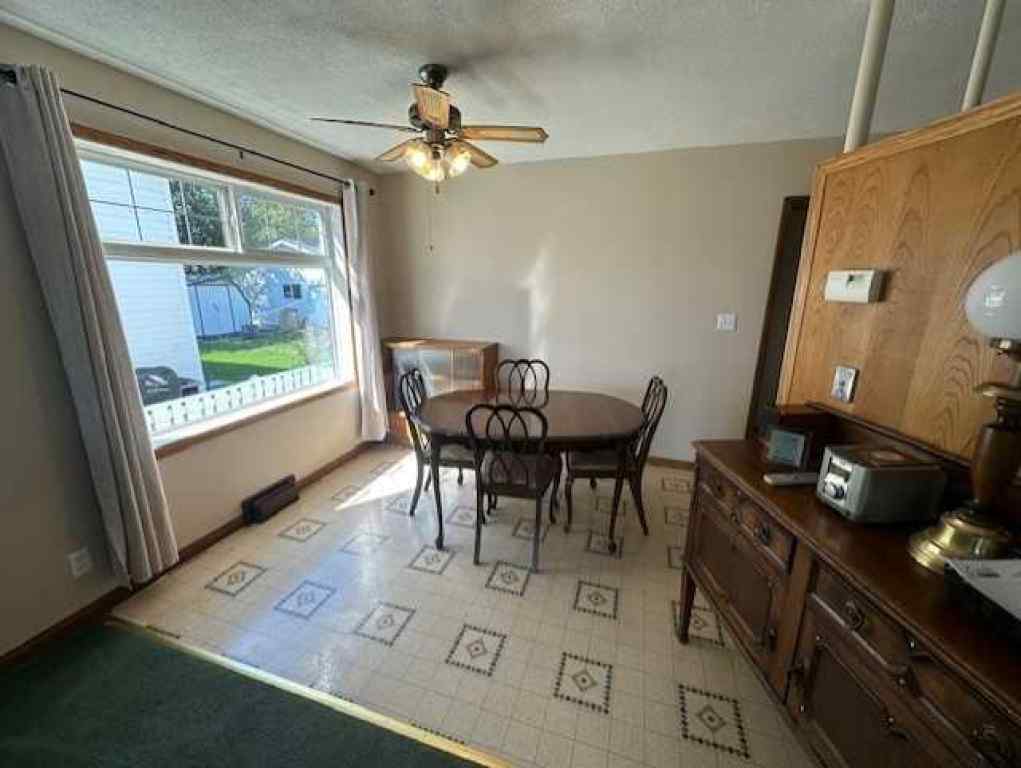 MLS® A2252990 - 206 4 Avenue W in Hanna Hanna, Residential