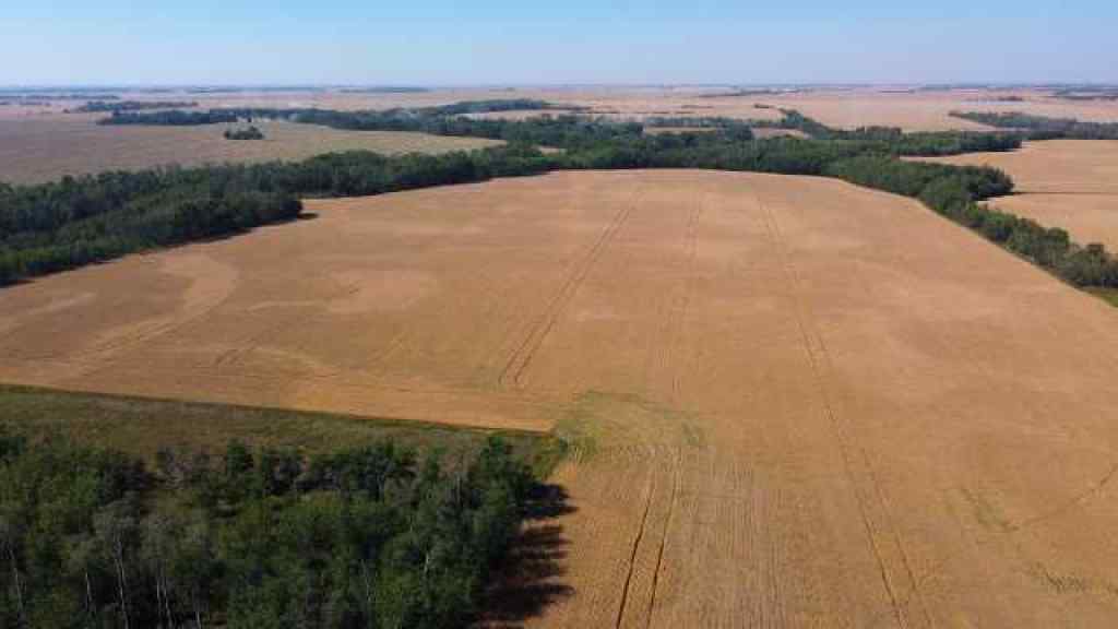 MLS® A2253043 - 805028 Range Road 10   in NONE Rural Fairview No. 136, M.D. of, Residential