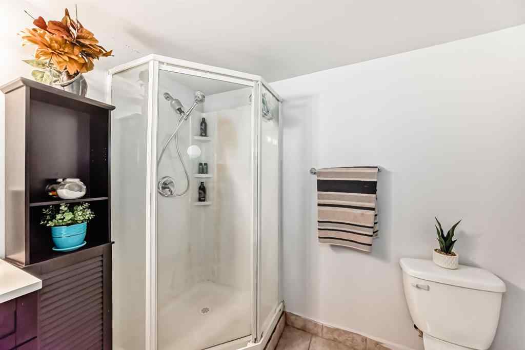 MLS® A2253044 - 5107 Rundleview Road NE in Rundle Calgary, Residential
