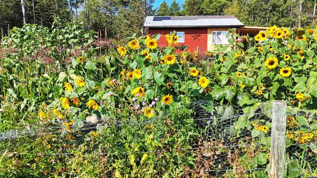 MLS® A2253097 - 5032 Township Road 310   in NONE Rural Mountain View County, Land