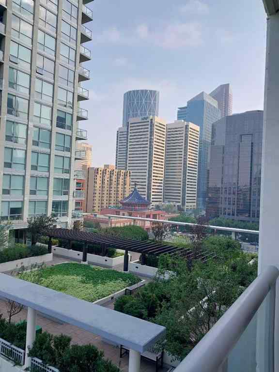 MLS® A2253133 - Unit #923 222 Riverfront Avenue SW in Chinatown Calgary, Residential