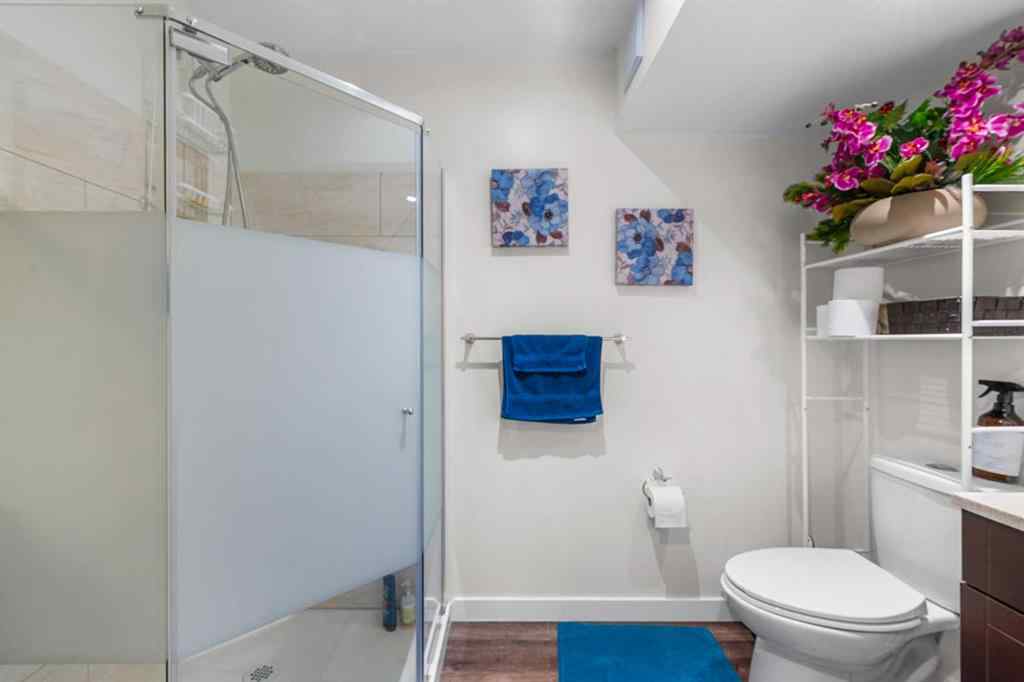 MLS® A2253145 - 47 Martindale Mews NE in Martindale Calgary, Residential