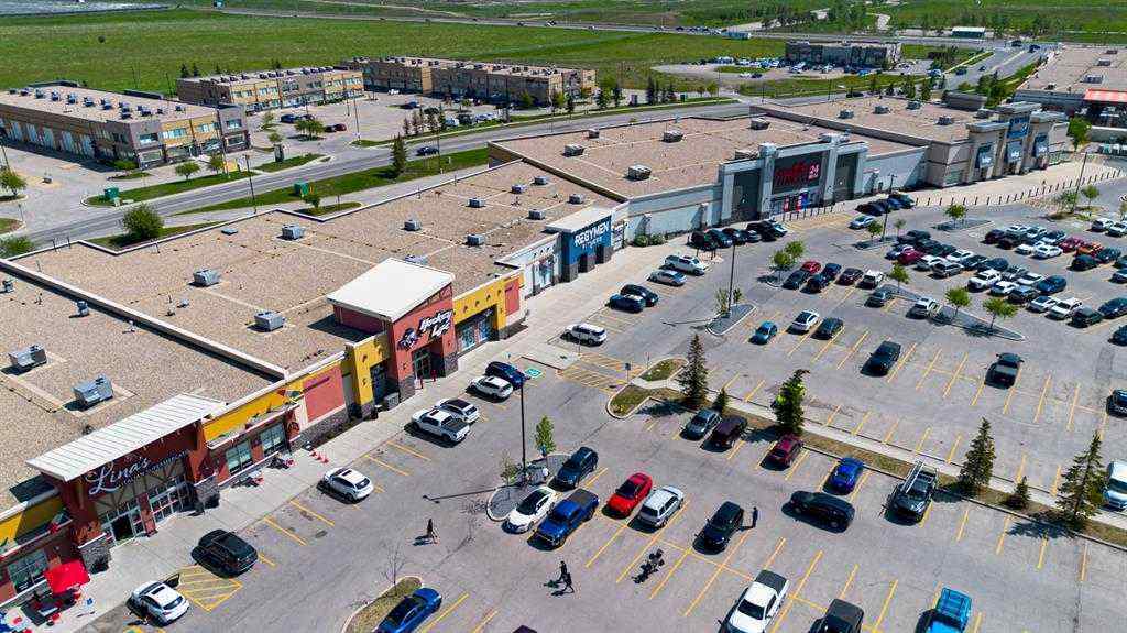 MLS® A2253147 - 91 Prestwick Acres Lane SE in McKenzie Towne Calgary, Residential