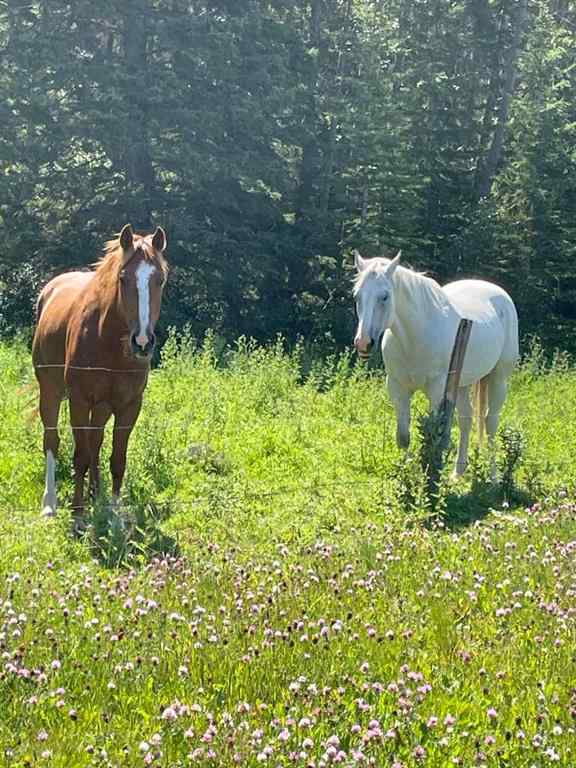 MLS® A2253212 - 34331 Range Road 41   in NONE Rural Red Deer County, Land