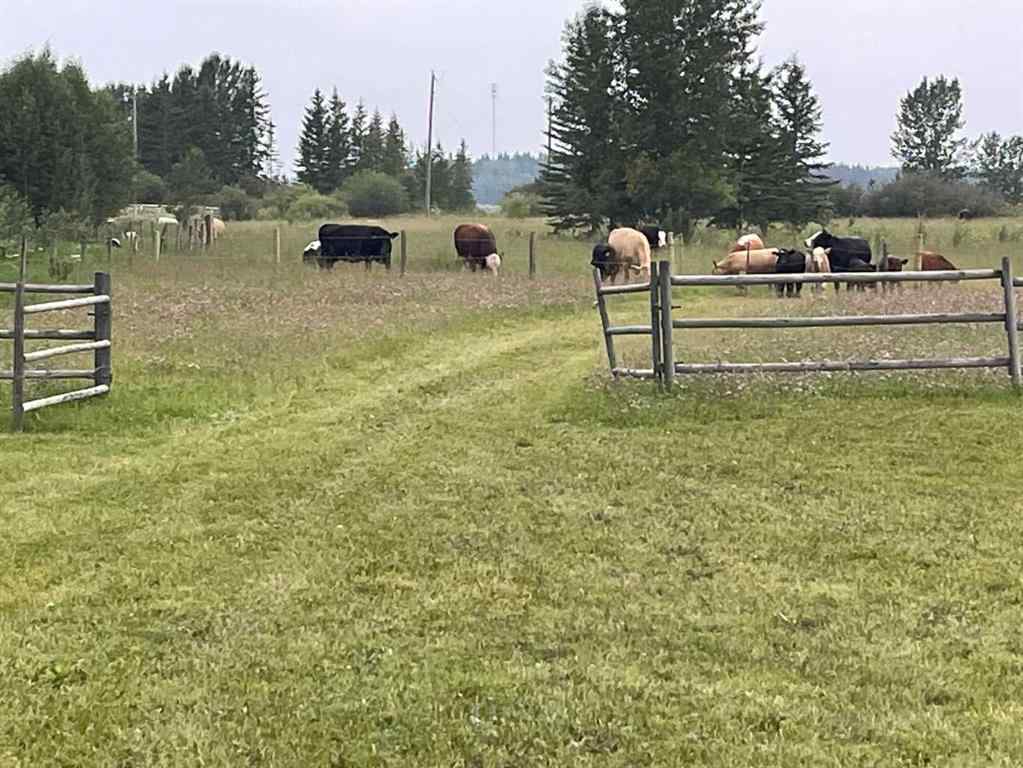 MLS® A2253212 - 34331 Range Road 41   in NONE Rural Red Deer County, Land