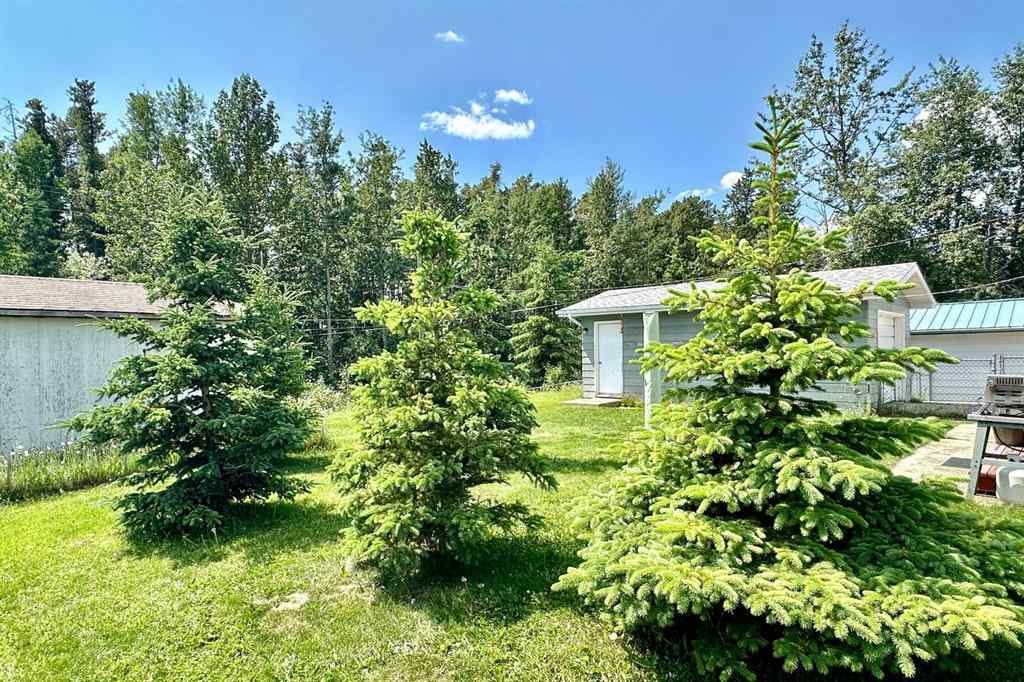 MLS® A2253354 - 4823 Ravine Drive  in NONE Swan Hills, Residential