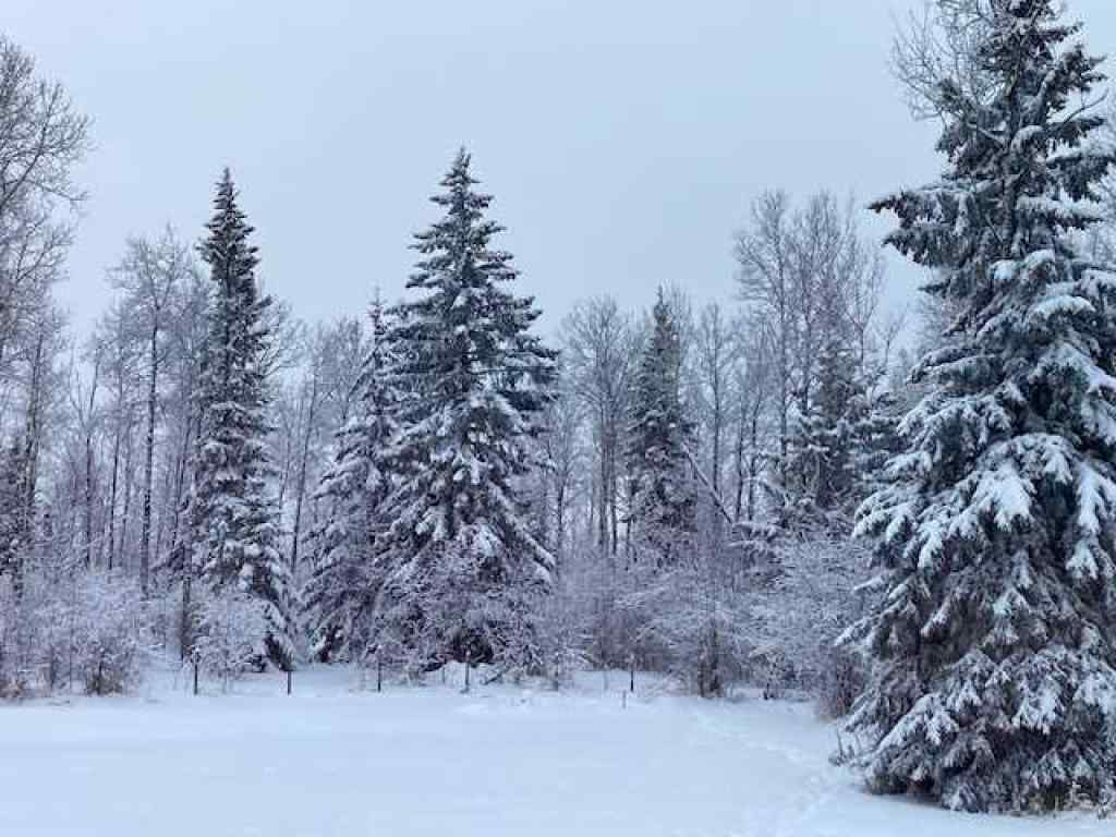MLS® A2253389 - Unit #73408 749 Highway   in NONE High Prairie, Residential