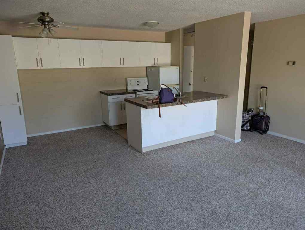 MLS® A2253503 - Unit #204 4700 55 Street  in Waskasoo Red Deer, Residential