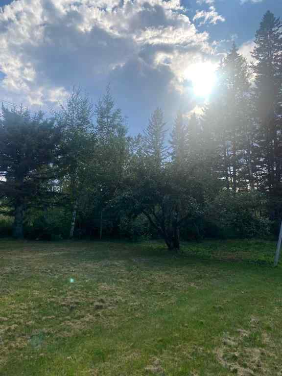 MLS® A2253527 - Unit #4 4354 Highway 27   in Westward Ho Rural Mountain View County, Residential