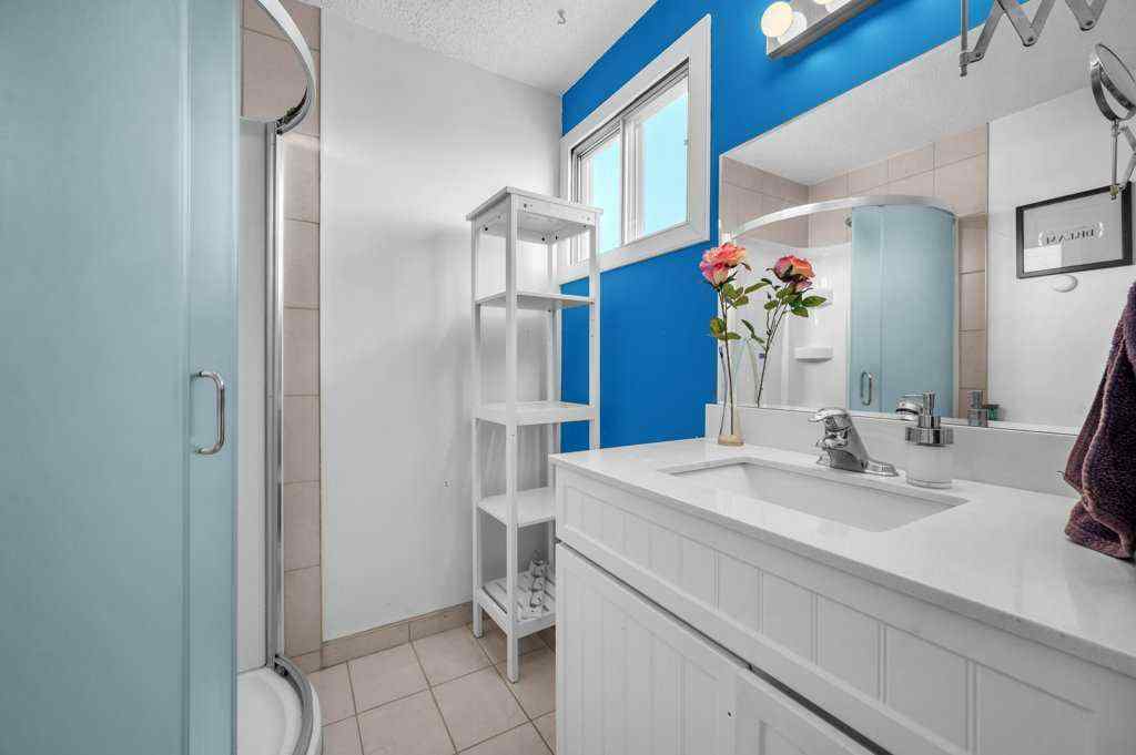 MLS® A2253574 - 64 Castledale Crescent NE in Castleridge Calgary, Residential