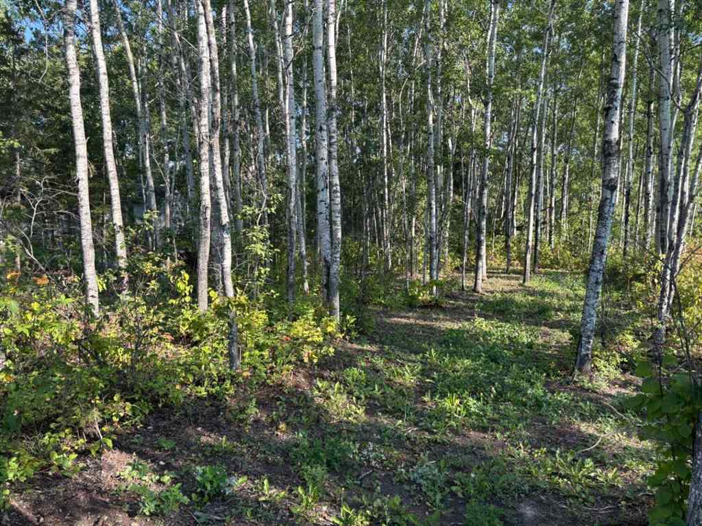 MLS® A2253614 - Unit ##226 660022 - Range Road 225.5 (Unit 35)   in NONE Athabasca, Land