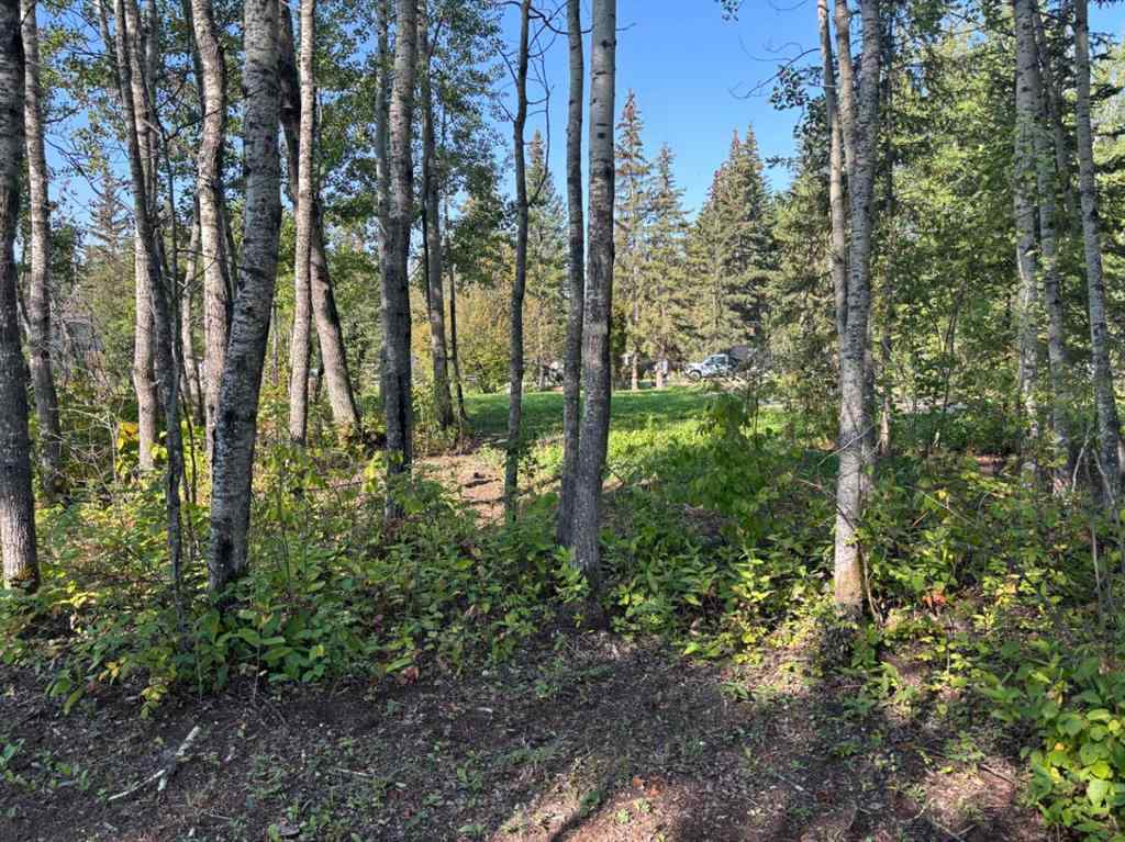 MLS® A2253614 - Unit ##226 660022 - Range Road 225.5 (Unit 35)   in NONE Athabasca, Land
