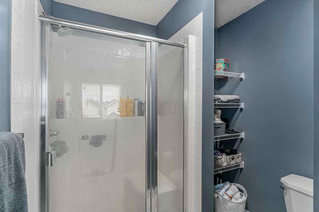 MLS® A2253630 - 255 Silverado Range Close SW in Silverado Calgary, Residential