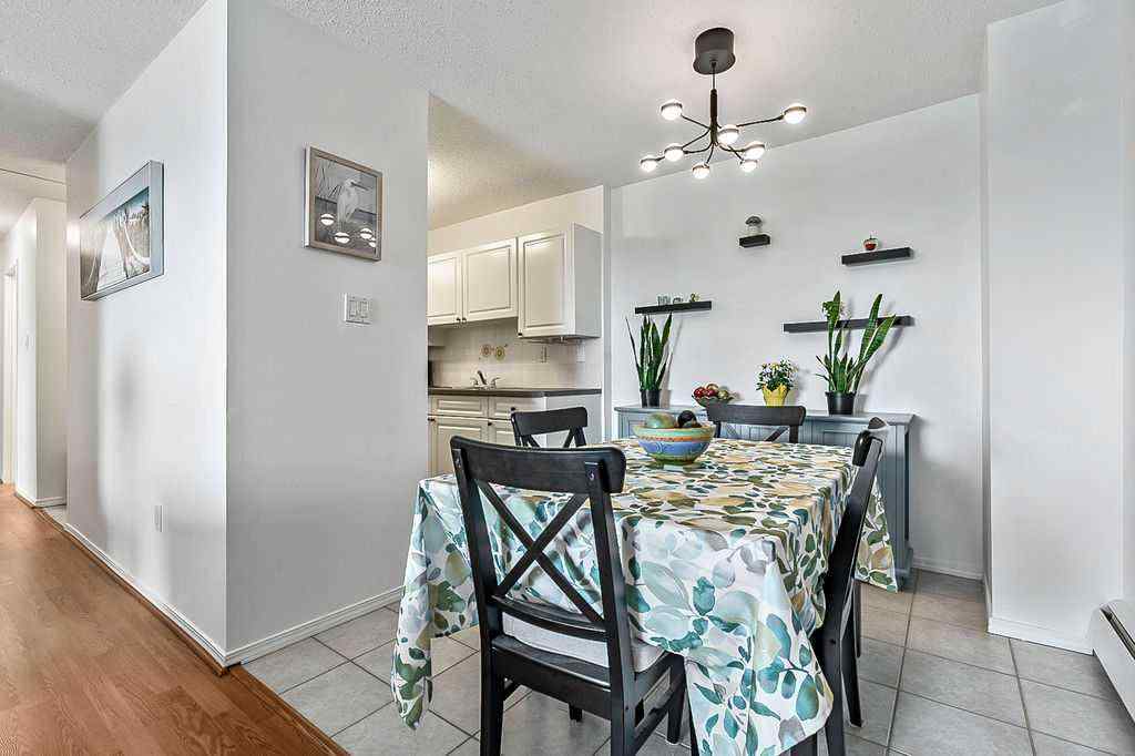 MLS® A2253635 - Unit #705 8948 Elbow Drive SW in Haysboro Calgary, Residential