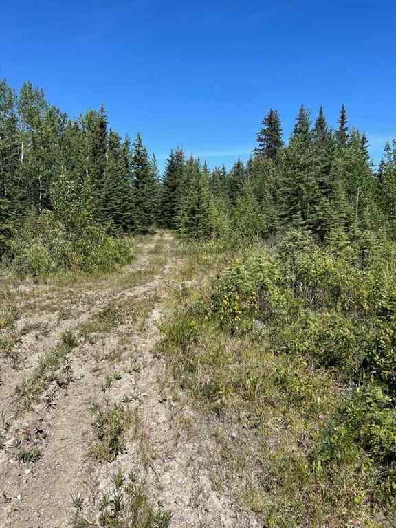 MLS® A2253806 - - NW 32-70-9-W6   in N/A Beaverlodge, Agri-Business