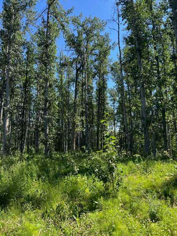 MLS® A2253806 - - NW 32-70-9-W6   in N/A Beaverlodge, Agri-Business
