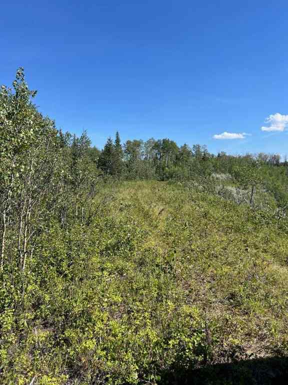 MLS® A2253806 - - NW 32-70-9-W6   in N/A Beaverlodge, Agri-Business