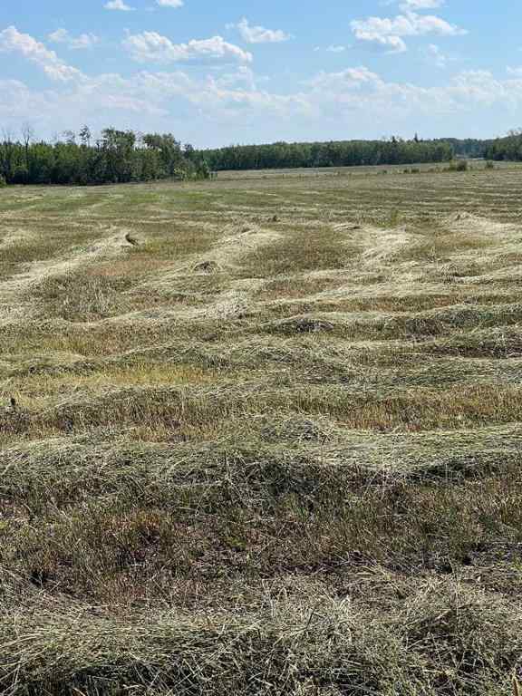 MLS® A2253806 - - NW 32-70-9-W6   in N/A Beaverlodge, Agri-Business