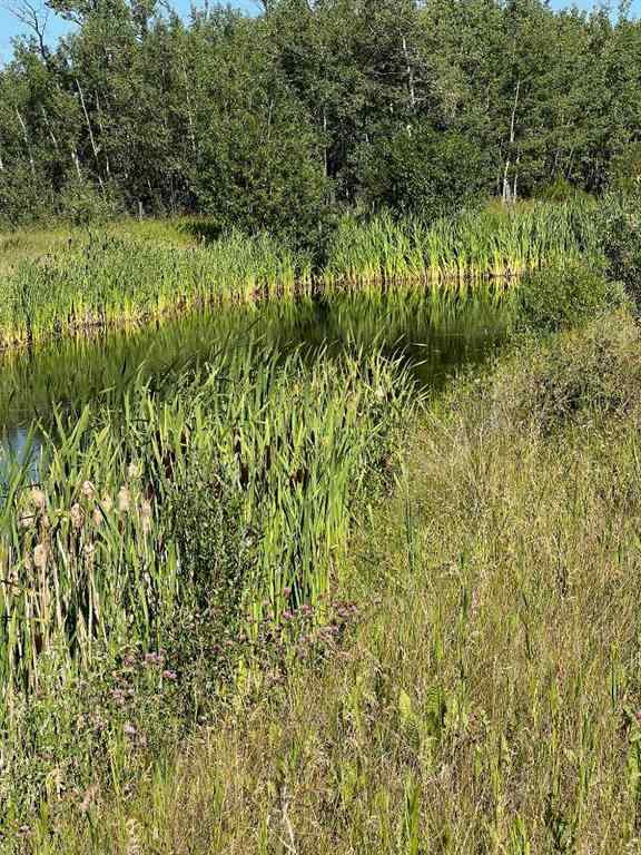 MLS® A2253806 - - NW 32-70-9-W6   in N/A Beaverlodge, Agri-Business