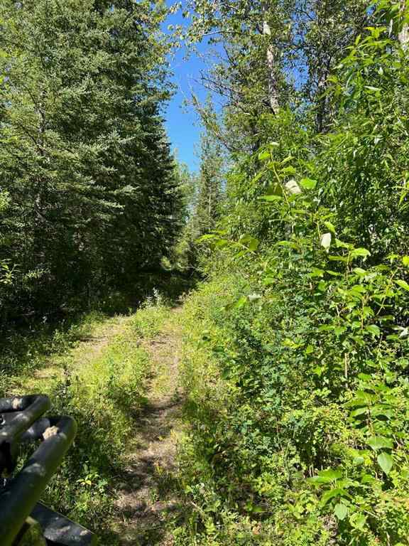 MLS® A2253806 - - NW 32-70-9-W6   in N/A Beaverlodge, Agri-Business