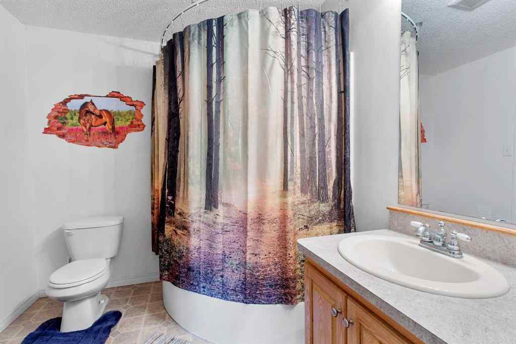 MLS® A2253830 - 30032 Range Road 270   in NONE Rural Mountain View County, Residential