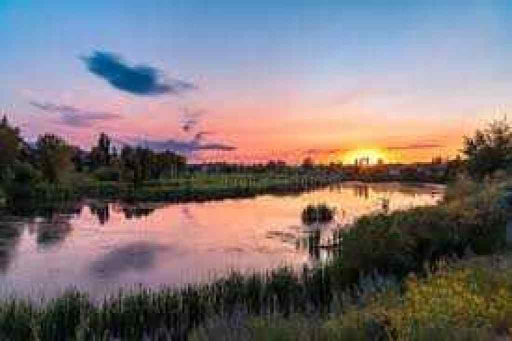 MLS® A2253831 - 6 Rolling Hills Bay  in Rolling Hills Blackfalds, Residential