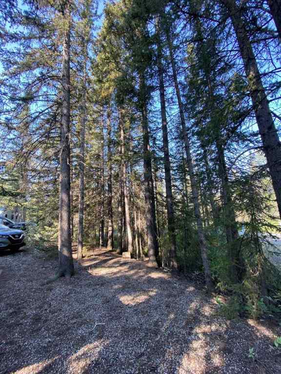 MLS® A2253903 - Unit #270-5230 Highway 27 Timber Ridge   in NONE Sundre, Land