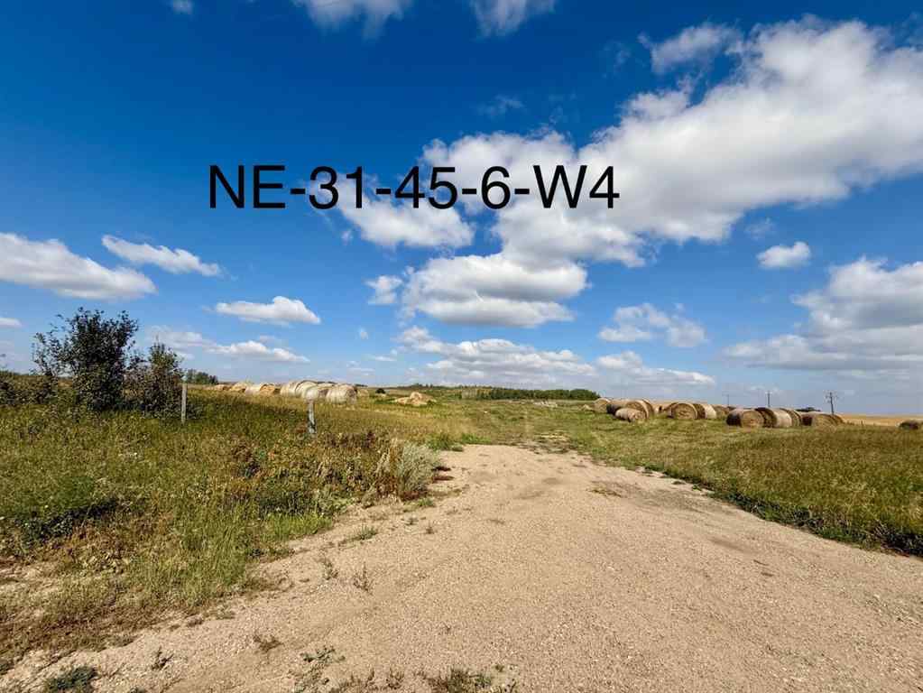 MLS® A2253931 - 455016 Range Road 65   in NONE Wainwright, Agri-Business