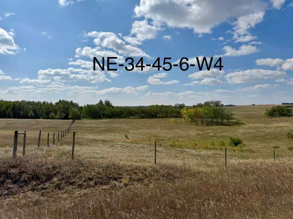 MLS® A2253931 - 455016 Range Road 65   in NONE Wainwright, Agri-Business