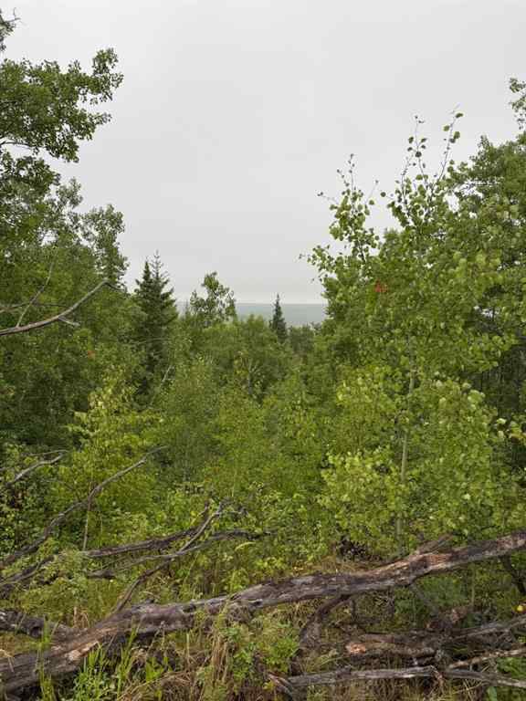 MLS® A2253952 - Unit #73049  OLD HIGH PRAIRIE RD   in NONE Rural Greenview No. 16, M.D. of, Agri-Business