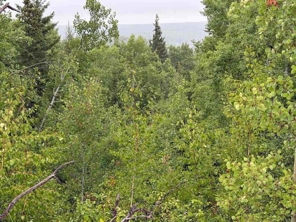MLS® A2253952 - Unit #73049  OLD HIGH PRAIRIE RD   in NONE Rural Greenview No. 16, M.D. of, Agri-Business